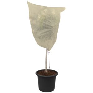 Sac pour plante "Winter Hood" XL, 2 pcs