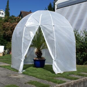 Film de rechange pour l’abri pour palmiers XL