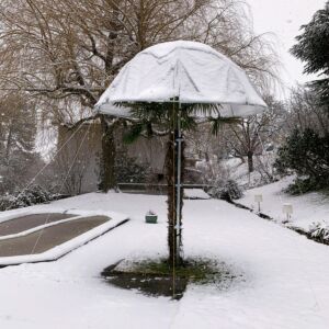 Film de rechange pour protecteur parapluie pour plantes