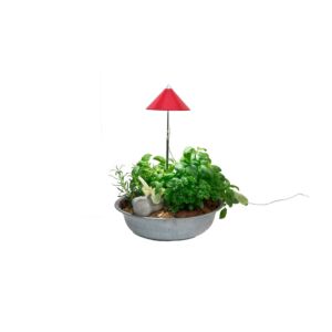 SUNLiTE Rouge