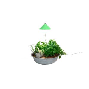 SUNLiTE Vert