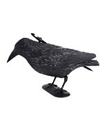 Épouvantail à pigeons «Corbeau»