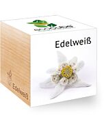 Ecocube Edelweiss